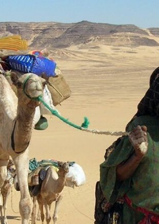 Vents de sable, femmes de roc